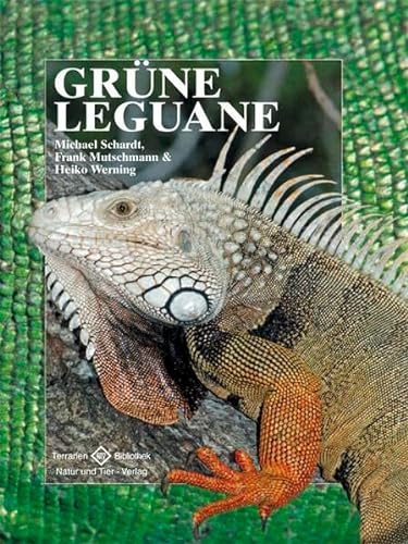 Grüne Leguane: Lebensweise, Haltung, Nachzucht (Terrarien-Bibliothek)